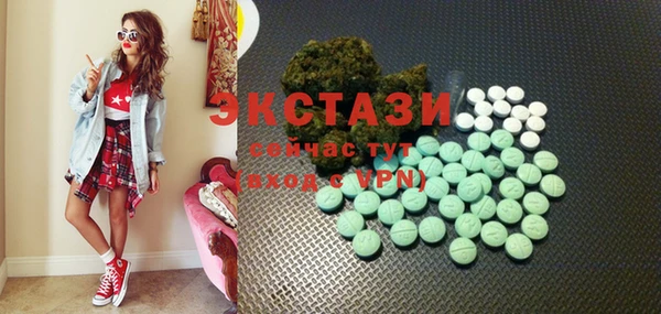 ECSTASY Богородск